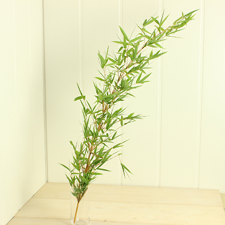 直前 七夕金明笹 竹笹 100cm 丸福清花園 生花 通販 はなどんやアソシエ 直前 七夕金明笹 竹笹 100cm 丸福清花園 生花 通販 はなどんやアソシエ