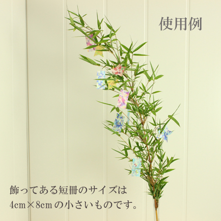 生花/予約】七夕金明笹(竹笹)100cm丸福清花園【OT】◇ 7/4-5届け