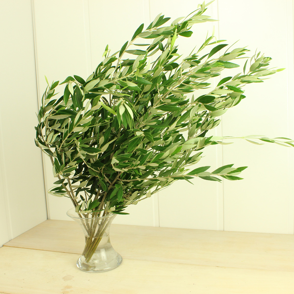 直前 オリーブ 枝もの 生花 通販 はなどんやアソシエ 直前 オリーブ 枝もの 生花 通販 はなどんやアソシエ