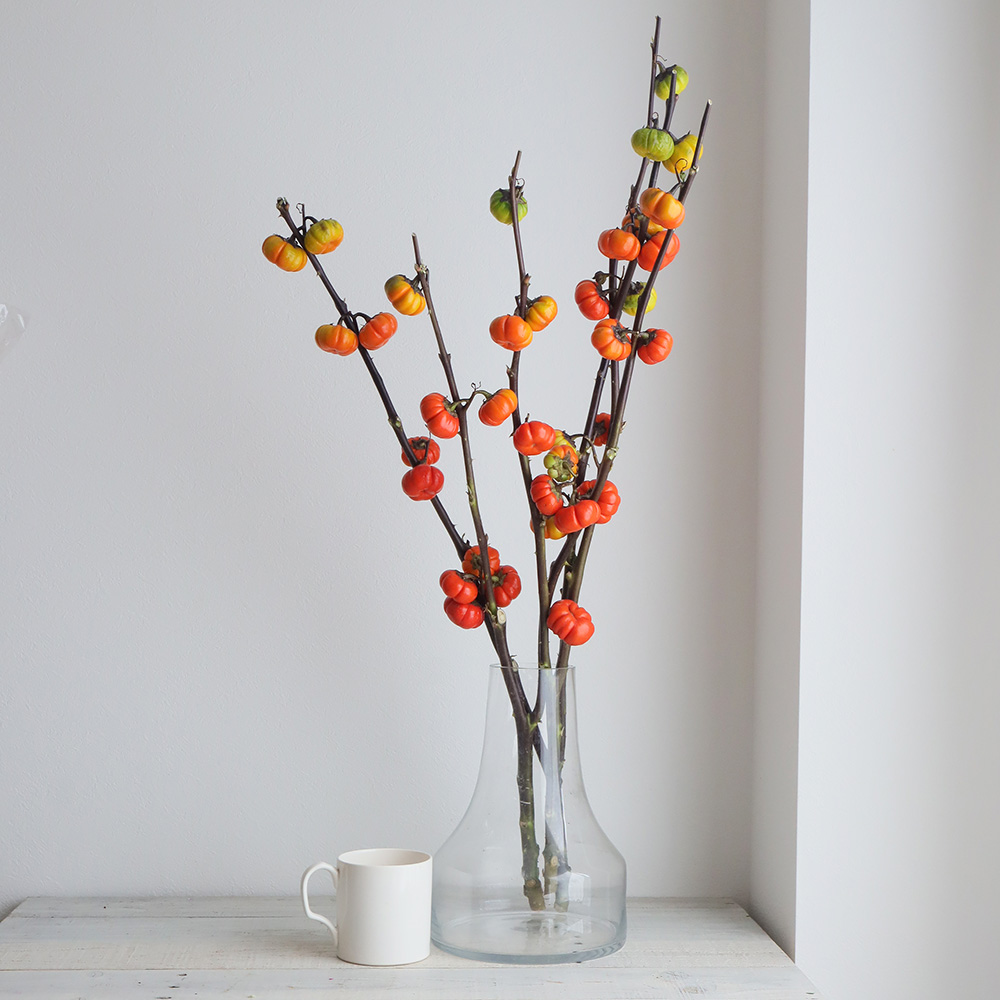 生花 ソラナム パンプキン カボチャ型の実の花ナス 60cm 程度 Ot 通販 はなどんやアソシエ 生花 ソラナム パンプキン カボチャ型の実の花ナス 60cm 程度 Ot 通販 はなどんやアソシエ