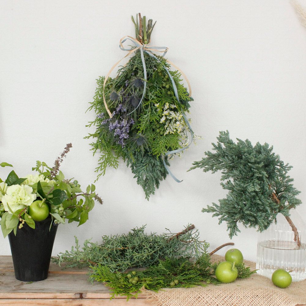 生花 宮内バラ園 ブルーアイス シルバー系 針葉 50cm程度 Ot 通販 はなどんやアソシエ 生花 宮内バラ園 ブルーアイス シルバー系 針葉 50cm程度 Ot 通販 はなどんやアソシエ