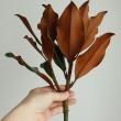 【生花】ケイパレス(マグノリア小葉品種)30センチ程度　日本草花園【OT】