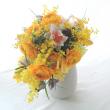 【直前!】榎本バラ園の銀葉ミモザアカシア　60cm　【生花】