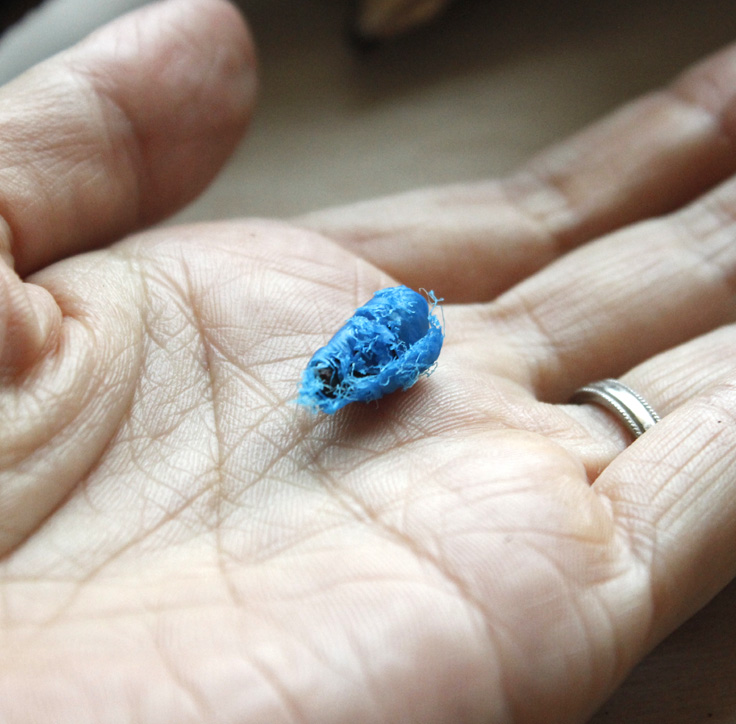 生花/即納】現品のみ!旅人の木(実付き・ドライ)【W2】 - 花材