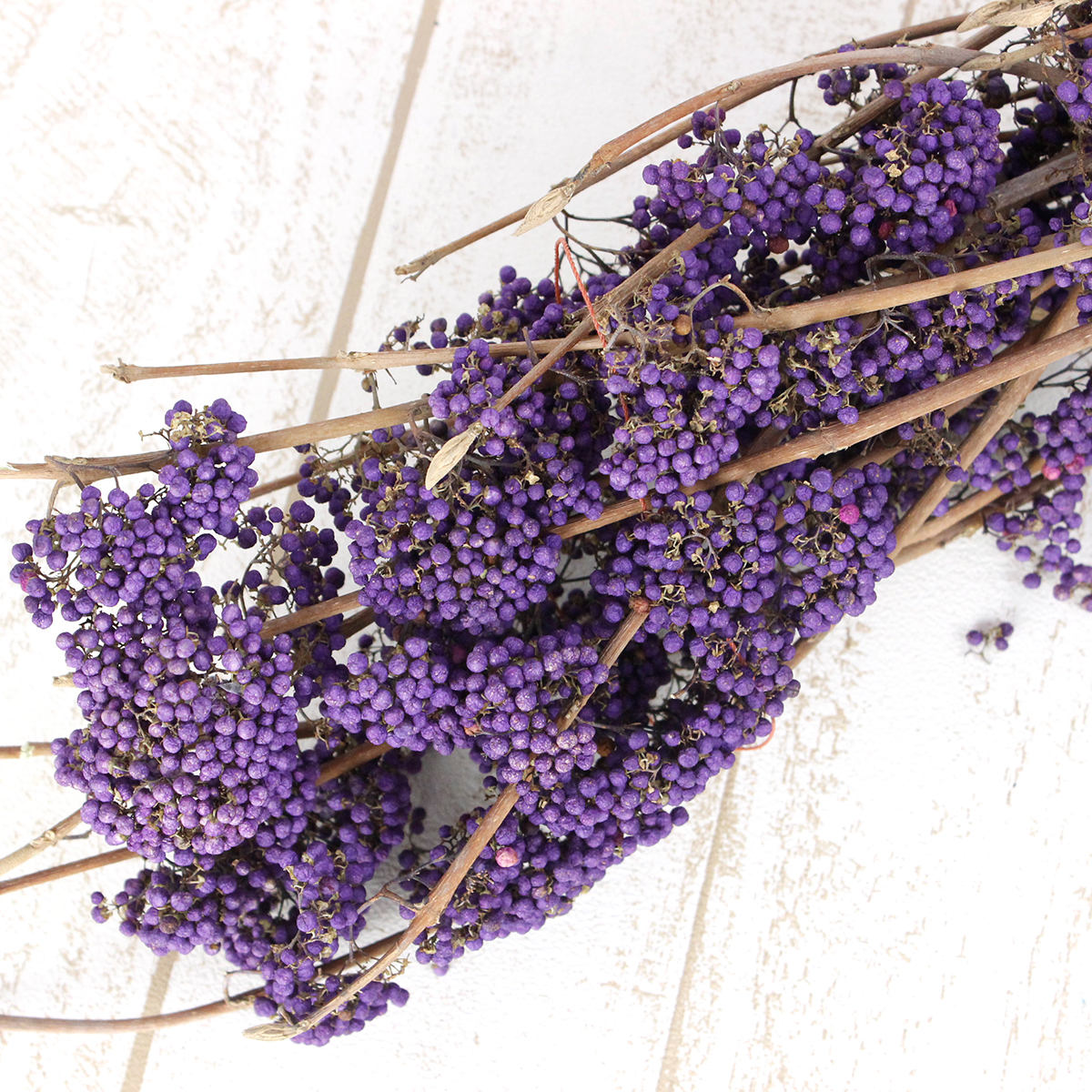 ドライ】J・flow/大紫式部(ムラサキモドキ) - 花材通販はなどんやアソシエ