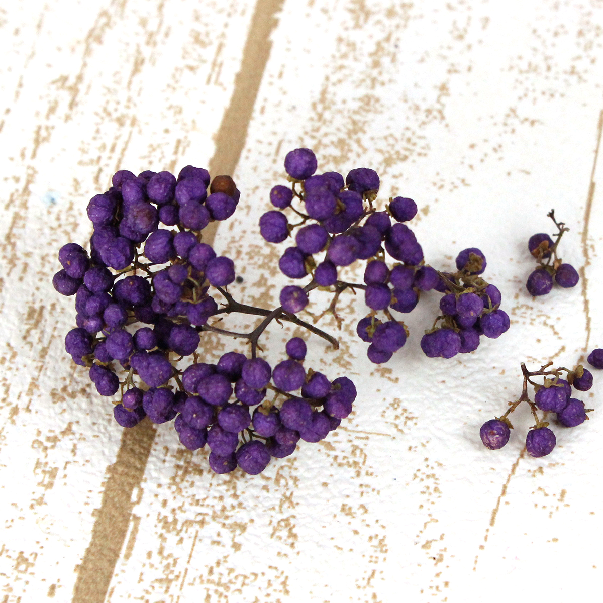 ドライ】J・flow/大紫式部(ムラサキモドキ) - 花材通販はなどんやアソシエ