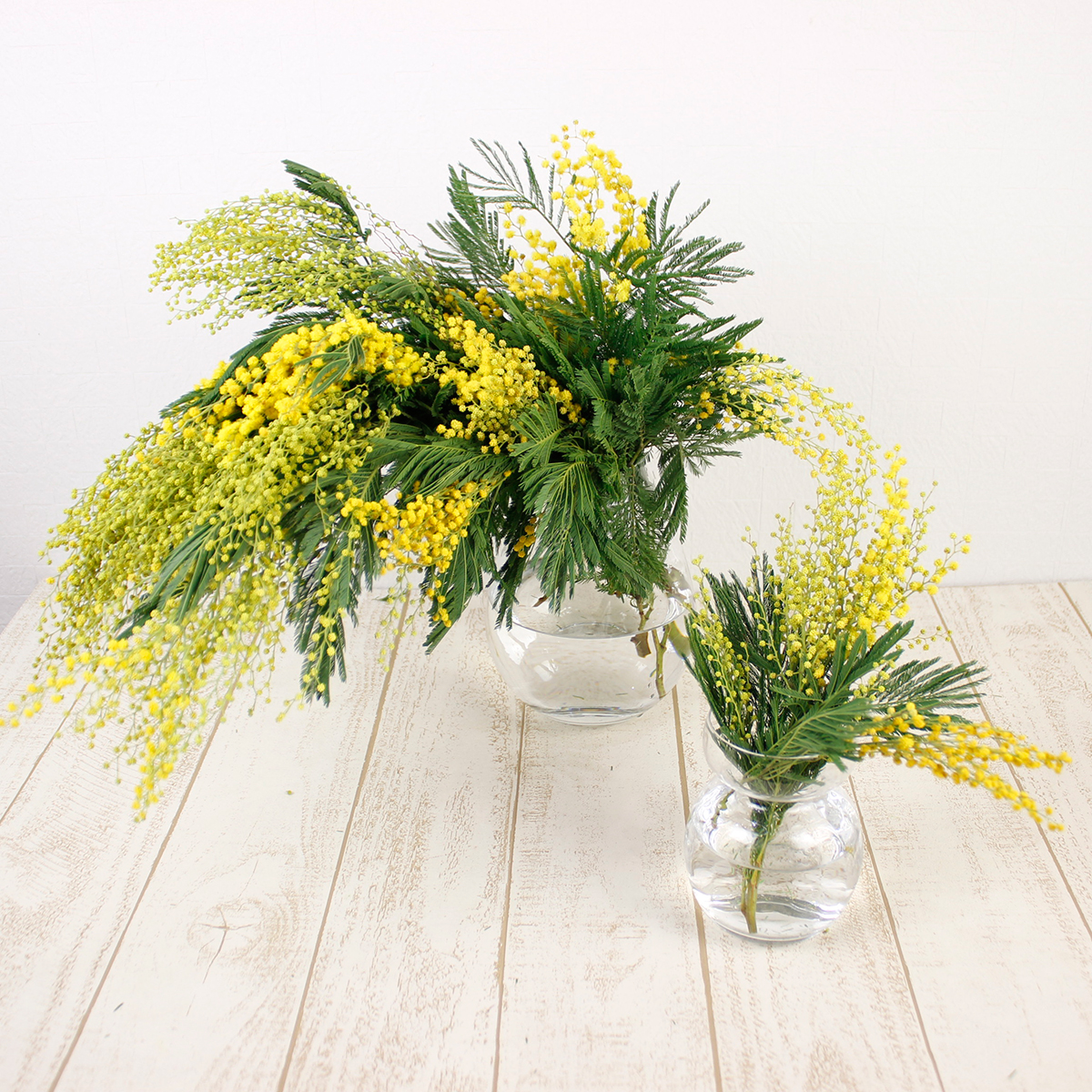 生花 輸入ミモザアカシア ミランドールなど 束約10本 長短あり 商品説明およみください 通販 はなどんやアソシエ 生花 輸入ミモザアカシア ミランドールなど 束約10本 長短あり 商品説明およみください 通販 はなどんやアソシエ