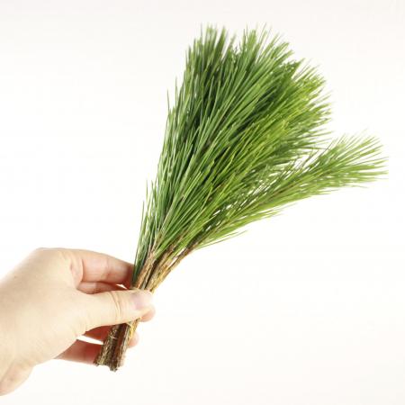 【直前】茨城産　アレンジ小松　25-30cm【生花】