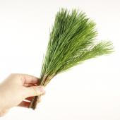 ※販売期間外※【直前】茨城産　アレンジ小松　25-30ｃｍ【生花】