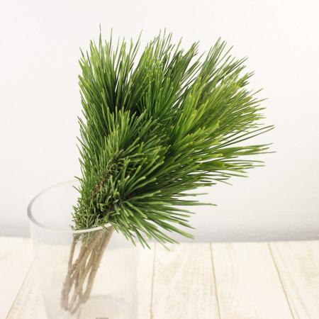 【直前】茨城産　アレンジ小松　40cm【生花】