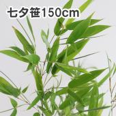 商談中SB600人気色ビンテージ笹竹付け下げ 自然文様 葉 身丈159x63ｃｍ Amazon｜七夕竹 笹 笹 造花 フェイクツリー 七夕の笹 スタンド