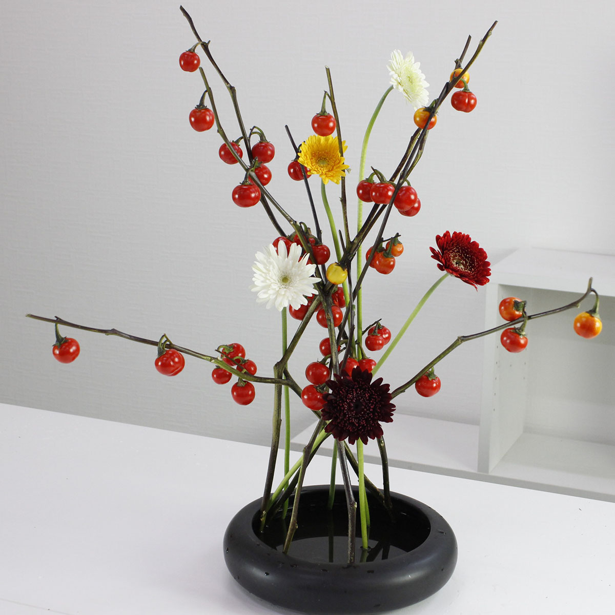 生花 花ナス レッドピンポン 赤 70センチ Ot 初入荷 通販 はなどんやアソシエ 生花 花ナス レッドピンポン 赤 70センチ Ot 初入荷 通販 はなどんやアソシエ