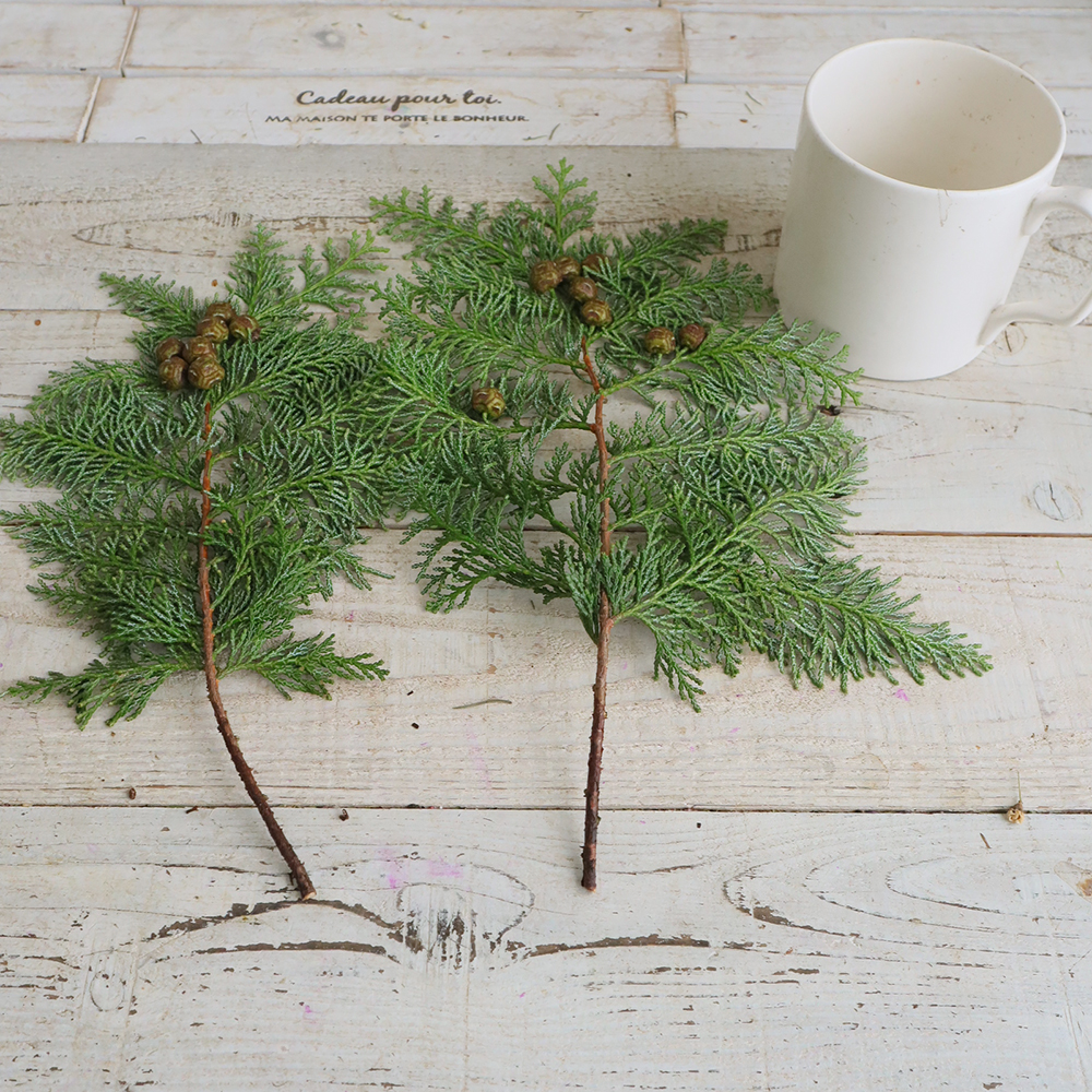 生花 宮内バラ園 サマーコニファー ヒノキ 実付き 30cm程度 Ot 通販 はなどんやアソシエ 生花 宮内バラ園 サマーコニファー ヒノキ 実付き 30cm程度 Ot 通販 はなどんやアソシエ