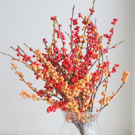 【生花】星野さんのウインターベリー(橙×赤ミックス)1束約10本　40cm【IT-29】