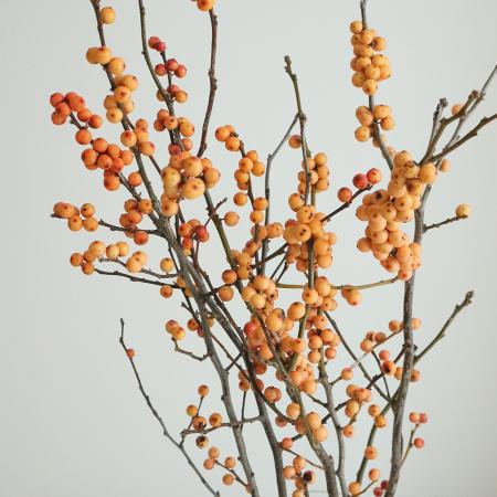 【生花】ウインターベリー(黄色) 40cm　星野さん【IT-29】