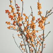 【生花】ウインターベリー（黄色） 40cm　星野さん【IT-29】