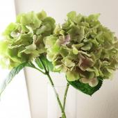 【1点限り】モナカママ☆オリジナル　花材　アジサイ　スターフラワー　✿︎加工花✿︎ 1点限り】モナカママ☆オリジナル 花材 アジサイ スターフラワー