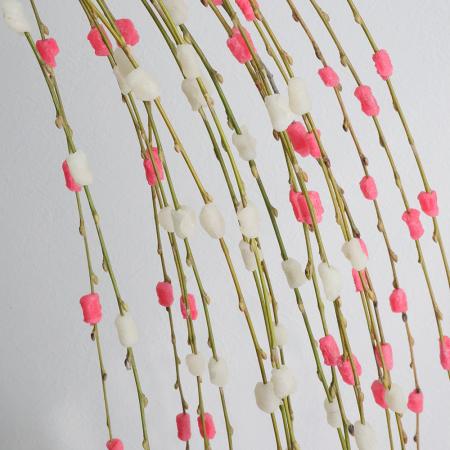 即日★【ドライ】J・flow/飛騨の花餅　アレンジ　紅白【10本入り】ぼんぼり