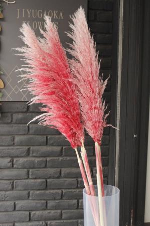 パンパスグラス ドライフラワー Ｎｏ．76 パンパスグラス ドライフラワー No．76 - メルカリ