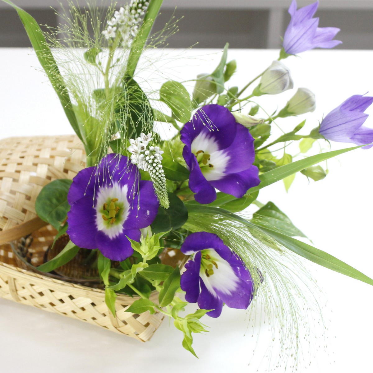 生花 トルコギキョウ パステル系一重 紫 白 通販 はなどんやアソシエ 生花 トルコギキョウ パステル系一重 紫 白 通販 はなどんやアソシエ