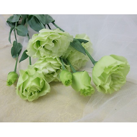 【生花】トルコギキョウ　メロンソーダ(グリーン):今週のオトク★トルコSP!