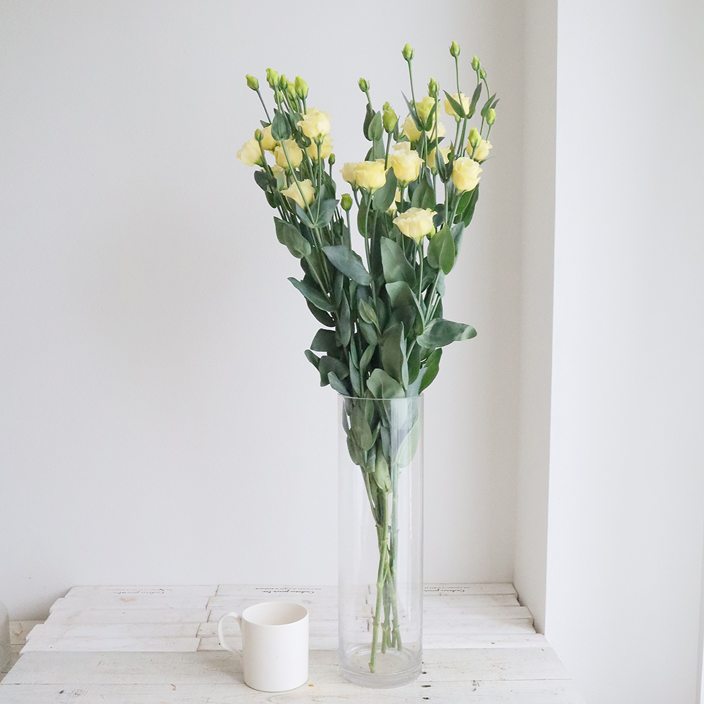 生花】小輪トルコギキョウ 小夏ゴールド(黄)2L【OT】(オレンジ系ピンク