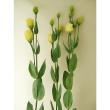 【生花】小輪トルコギキョウ　小夏ゴールド(黄)2L【OT】(オレンジ系ピンク)