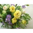 【生花】小輪トルコギキョウ　小夏ゴールド(黄)2L【OT】(オレンジ系ピンク)