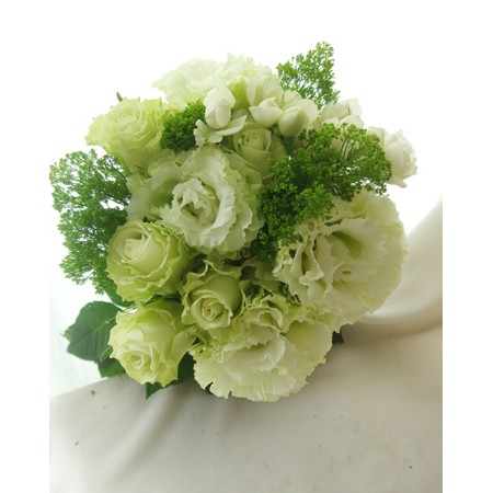 生花 3本売り 高野さんのトルコギキョウ コサージュグリーン L 2l 通販 はなどんやアソシエ 生花 3本売り 高野さんのトルコギキョウ コサージュグリーン L 2l 通販 はなどんやアソシエ