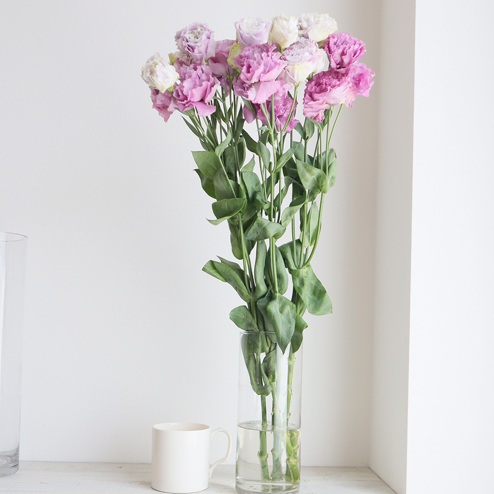 生花 トルコギキョウ エグゼラベンダー ジュリアスラベンダーなど 紫 フリンジ Seta 13 通販 はなどんやアソシエ 生花 トルコギキョウ エグゼラベンダー ジュリアスラベンダーなど 紫 フリンジ Seta 13 通販 はなどんやアソシエ