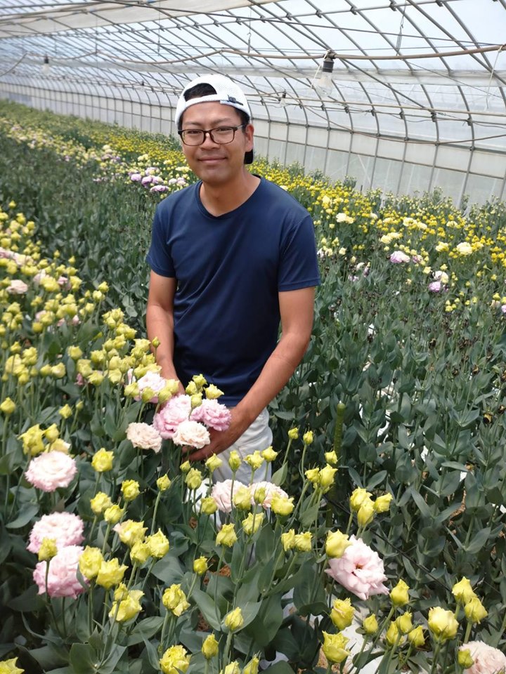 直前 トルコギキョウ ジュリアスライトピンクorマキアピンク ライトピンク フリル 花族 渡辺 さん 生花 通販 はなどんやアソシエ 直前 トルコギキョウ ジュリアスライトピンクorマキアピンク ライトピンク フリル 花族 渡辺 さん 生花 通販 はなどんやアソシエ