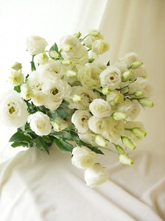 直前 今週の5本売り 5本売り トルコギキョウ ミンク 八重白