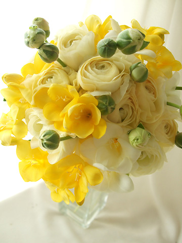 生花 フリージア アラジン 黄色 今週のオトク Ot 通販 はなどんやアソシエ 生花 フリージア アラジン 黄色 今週のオトク Ot 通販 はなどんやアソシエ