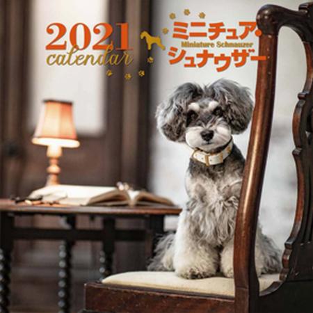 【送料無料】2021年大判カレンダーミニチュア・シュナウザー■直送書籍以外の同梱不可