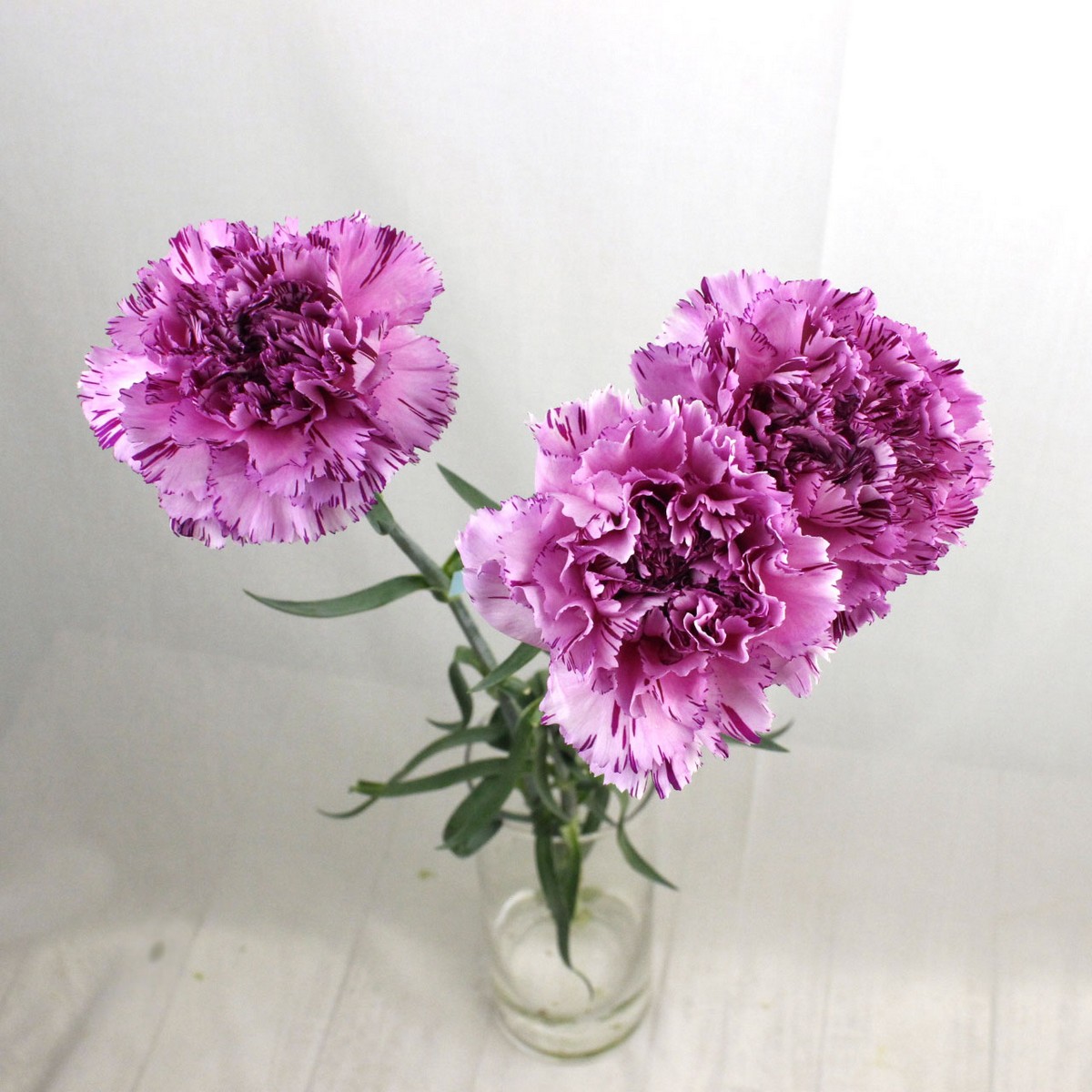 ユーカリ紫陽花ガーランド 紫陽花ユーカリガーランド