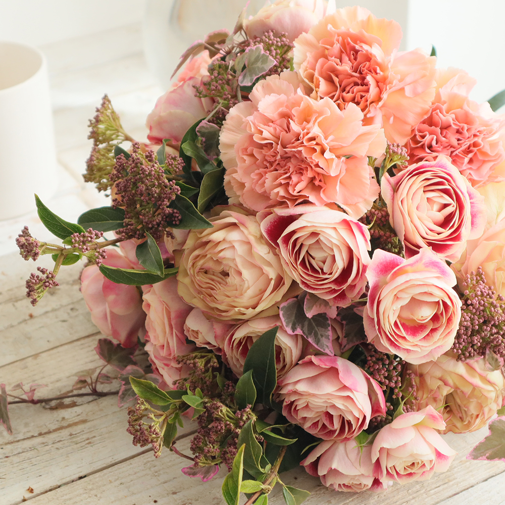 直前-54】藤花園カーネ マキアート(ベージュ) 【生花】 - 花材通販は