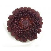 生花】△ぽんぽんガーベラ(チョコ) - 花材通販はなどんやアソシエ