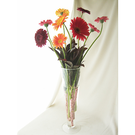 直前 ガーベラ オレンジケーキ オレンジ芯白無花粉 生花 通販 はなどんやアソシエ 直前 ガーベラ オレンジケーキ オレンジ芯白無花粉 生花 通販 はなどんやアソシエ