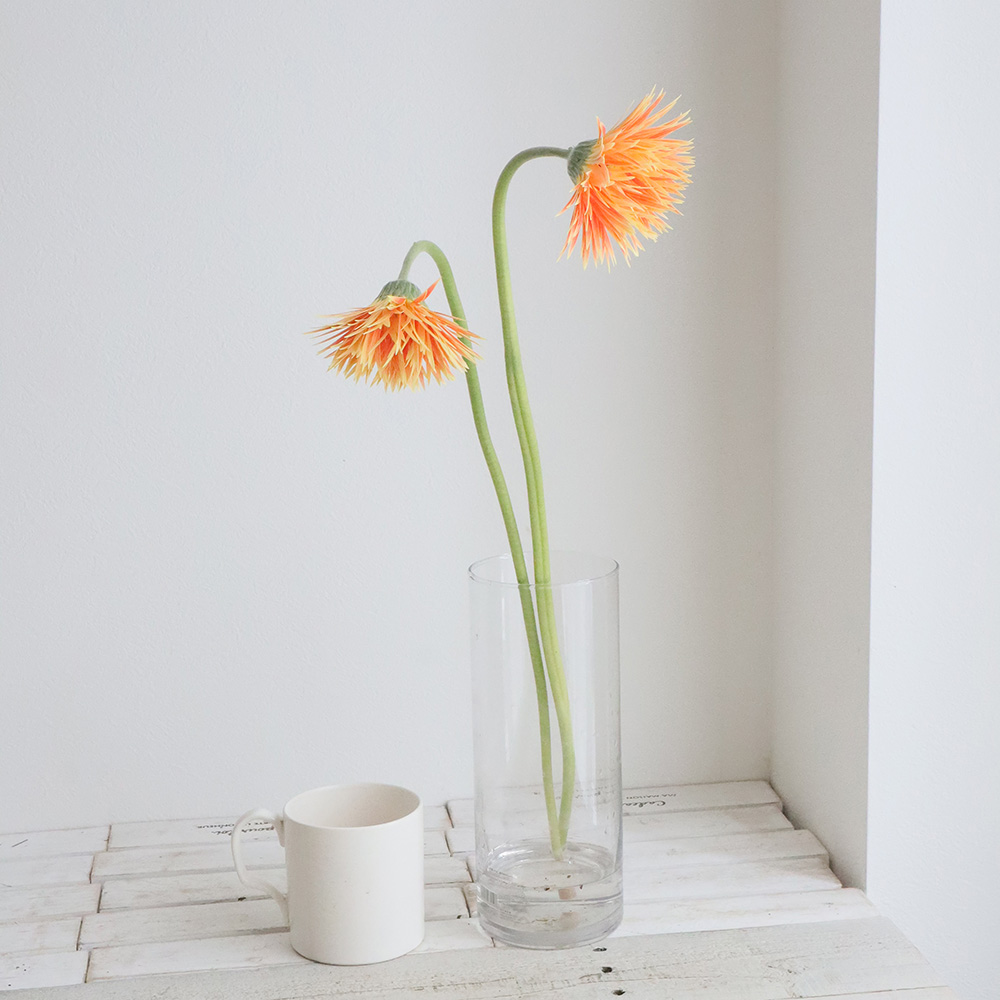 生花】【さぎやま】大輪ガーベラ アナクレート(アプリコット複色