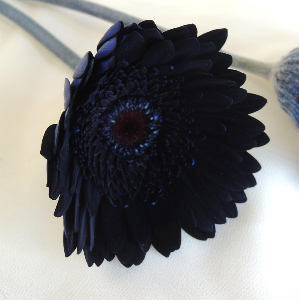 ITA1029-25】【生花】ガーベラ ブラックマジック(染め・ブラック)>10