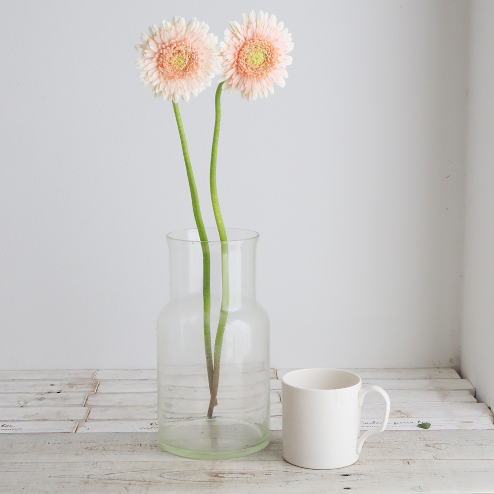 生花】【さぎやま】ガーベラ テラマガ(淡いピンク 八重) - 花材通販は