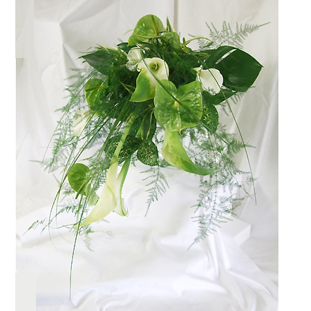 生花 アスパラペラ 通販 はなどんやアソシエ 生花 アスパラペラ 通販 はなどんやアソシエ