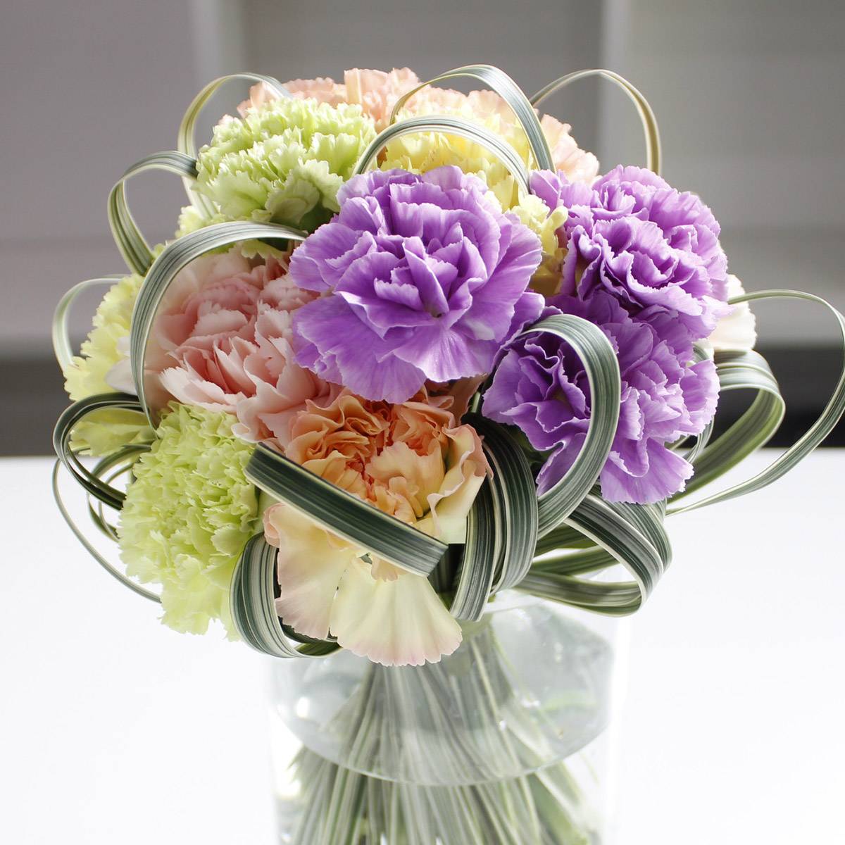 生花】ミスカンサス[斑入り] 本数単位:: - 花材通販はなどんやアソシエ