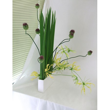 生花 オクラレルカ 太くてよいもの 通販 はなどんやアソシエ 生花 オクラレルカ 太くてよいもの 通販 はなどんやアソシエ