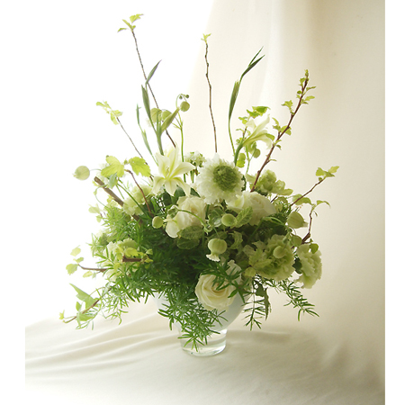 直前 生花 南原農園 アスパラ スプレンゲリー 50センチ 早締切 71 通販 はなどんやアソシエ 直前 生花 南原農園 アスパラ スプレンゲリー 50センチ 早締切 71 通販 はなどんやアソシエ