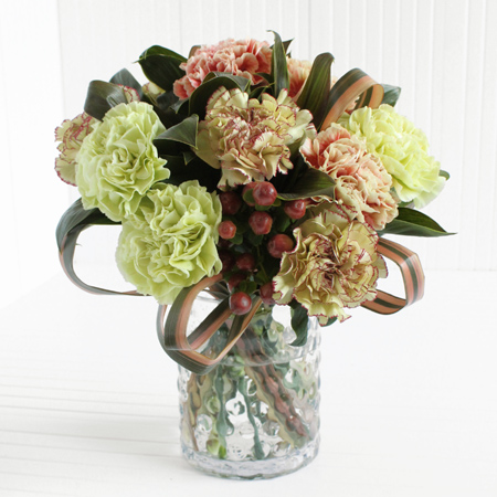 直前 ドラセナ グリーンコンパクタ 茶グリーン系 生花 通販 はなどんやアソシエ 直前 ドラセナ グリーンコンパクタ 茶グリーン系 生花 通販 はなどんやアソシエ