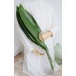 【生花/即納】<70cm>ティーリーフ(全長 約70cm・葉の部分約50cm)※輸入品