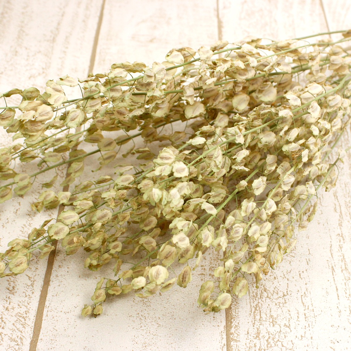 グリーンコーディネーターによるドライフラワーセット 楽天市場】ドライフラワー 花材 即日出荷 ガーランドスタイル