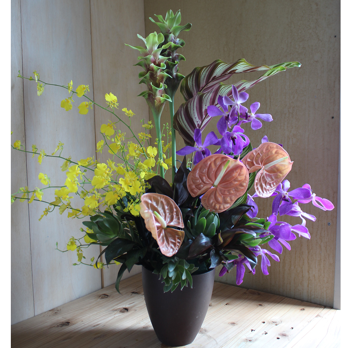 生花 カラテア マコヤナ 60cm程度 通販 はなどんやアソシエ 生花 カラテア マコヤナ 60cm程度 通販 はなどんやアソシエ