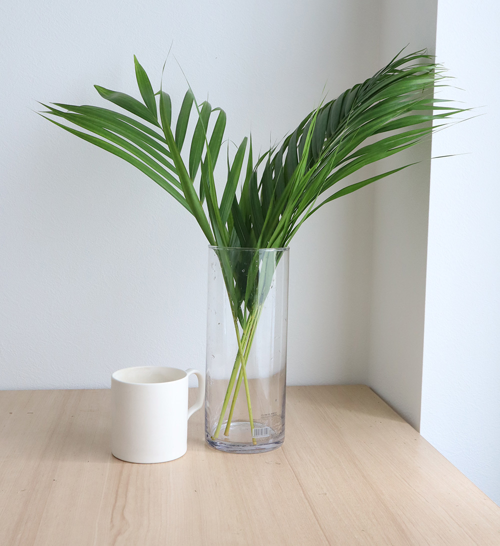 生花 アレカヤシ 小 60センチ程度 通販 はなどんやアソシエ 生花 アレカヤシ 小 60センチ程度 通販 はなどんやアソシエ